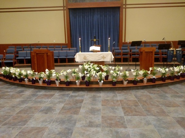 IMG_20170416_071515599-25